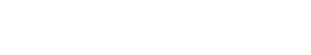 BLICKPULS